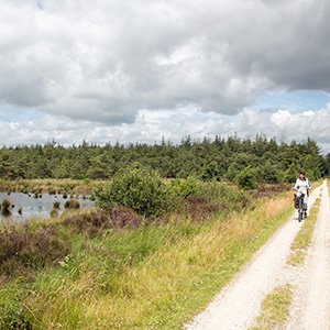 Fietsen naar de Drentse heide en bossen